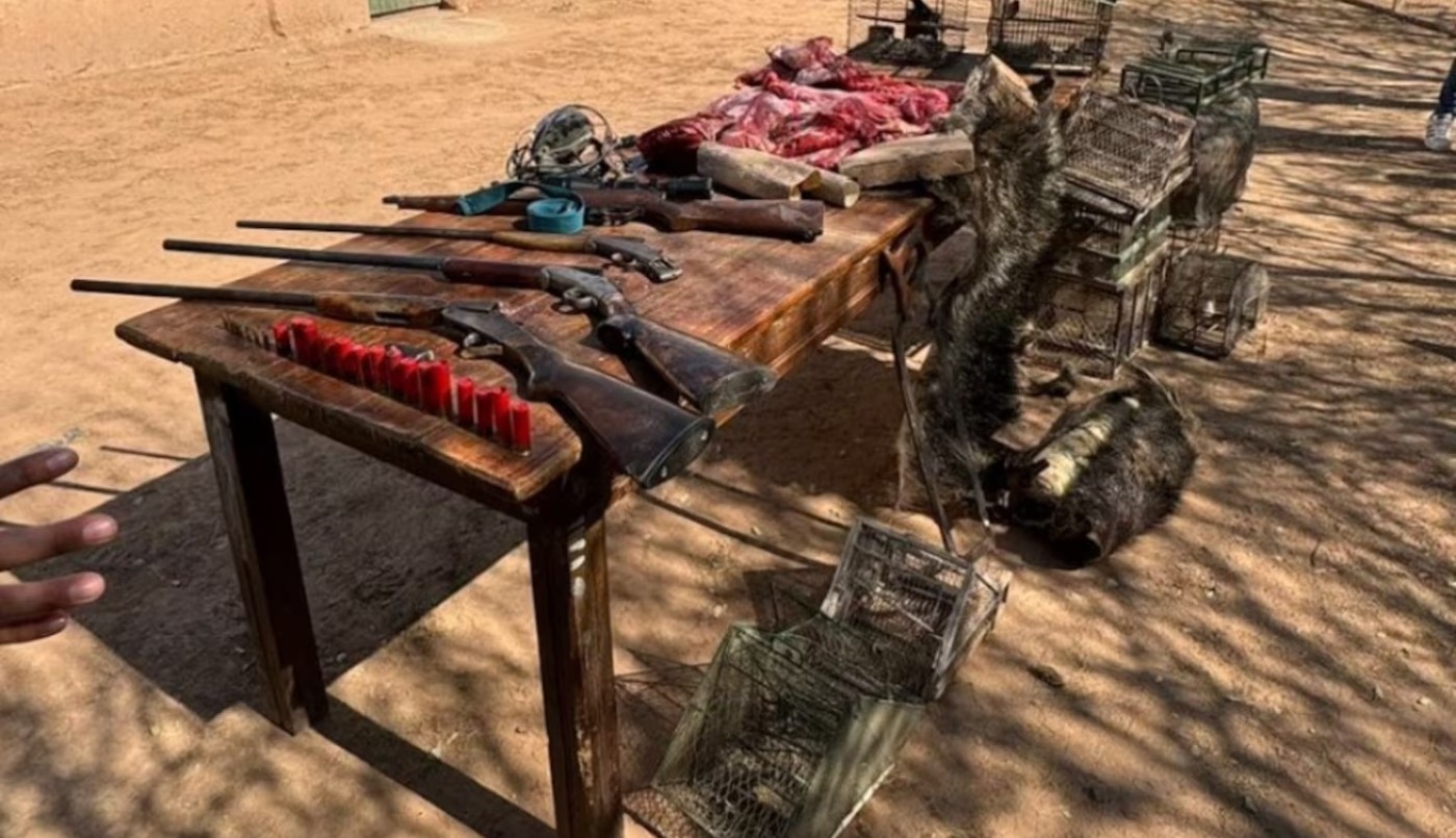 Encontraron aves, pieles de animales y armas en un campo cordobés | Córdoba