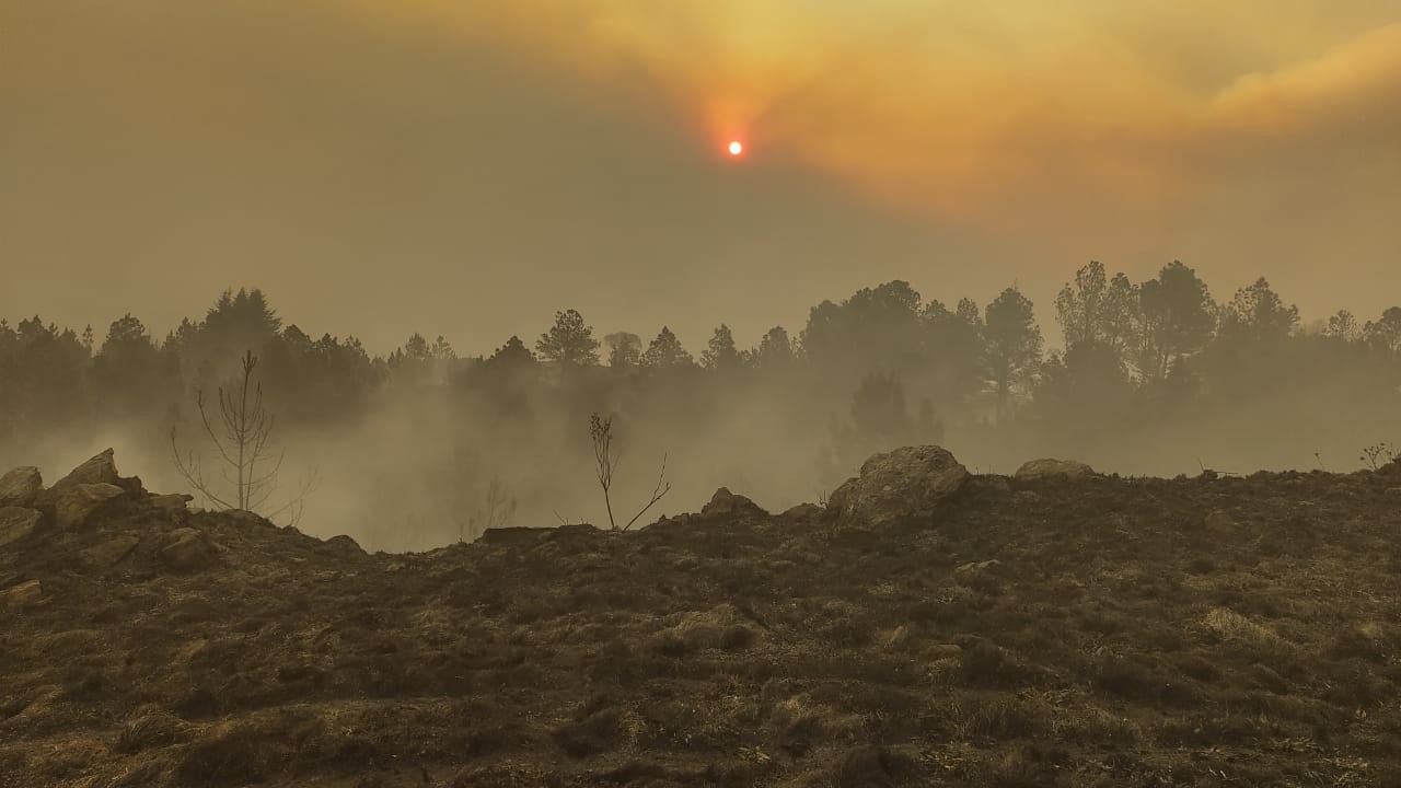 Fiscales ambientales piden que se legisle el Ecocidio | Córdoba