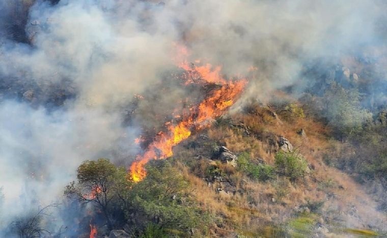 Incendios en Córdoba: hay un detenido por el foco activo en el Río Ctalamuchita | Córdoba