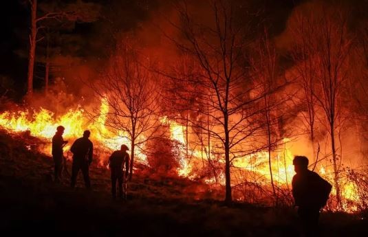 Una ONG internacional intima a la Argentina por su inacción en los incendios forestales | Actualidad