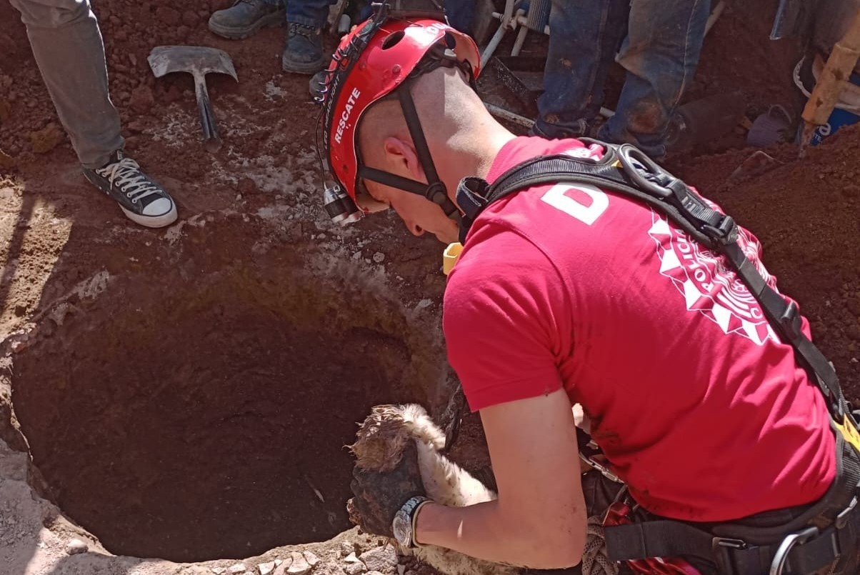 Bomberos rescataron a un perro que cayó en un pozo | Córdoba