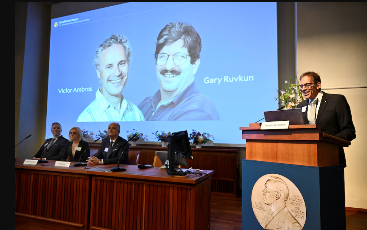 Premio Nobel de Medicina para dos estadounidenses por los avances en la regulación de los genes | Actualidad