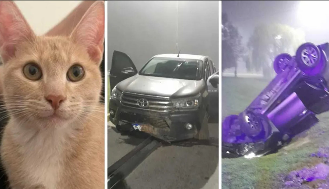 Vieron un accidente y quisieron ayudar: quienes volcaron eran ladrones en fuga y les robaron | Actualidad