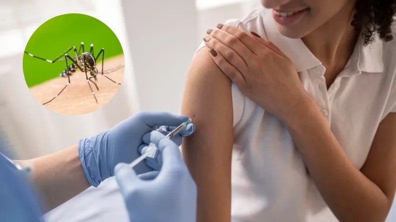 Cuándo se normalizará la escasez de vacunas contra el dengue en Córdoba | Córdoba