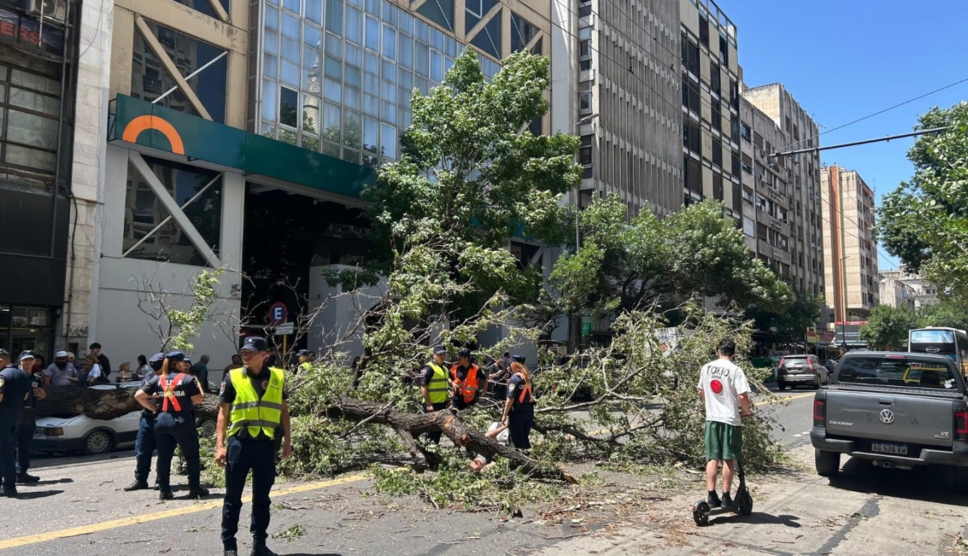 Desató un caos: un árbol cayó en pleno centro de Córdoba y aplastó a un motociclista y a un auto | Córdoba