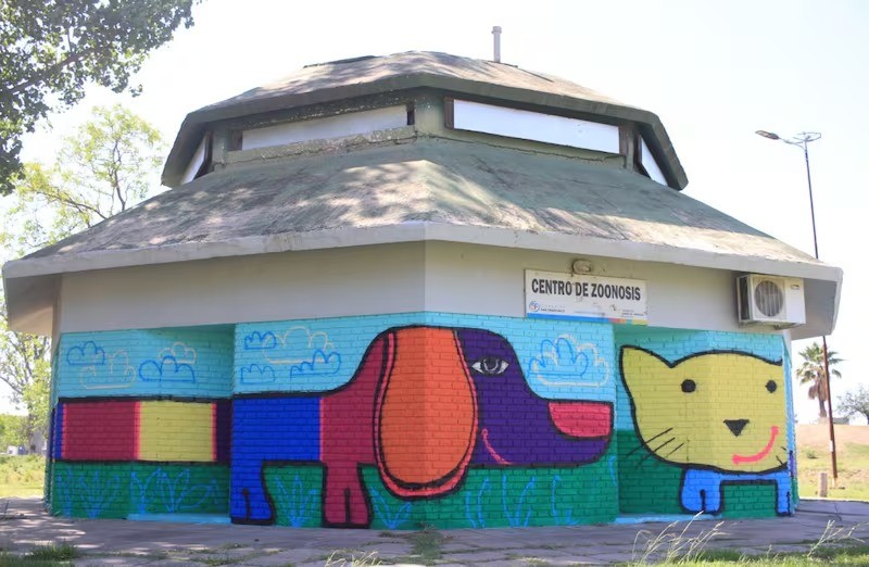 San Francisco alcanzó casi 3 mil castraciones gratuitas de mascotas en 2024 | Córdoba