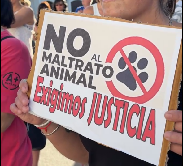 Horror en Laboulaye: brutal asesinato de un perro desata indignación y protestas | Córdoba