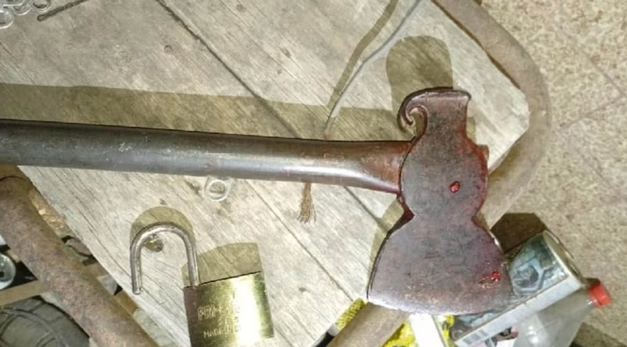 Discutió con su hermana y la mató de un hachazo en la cabeza | Actualidad