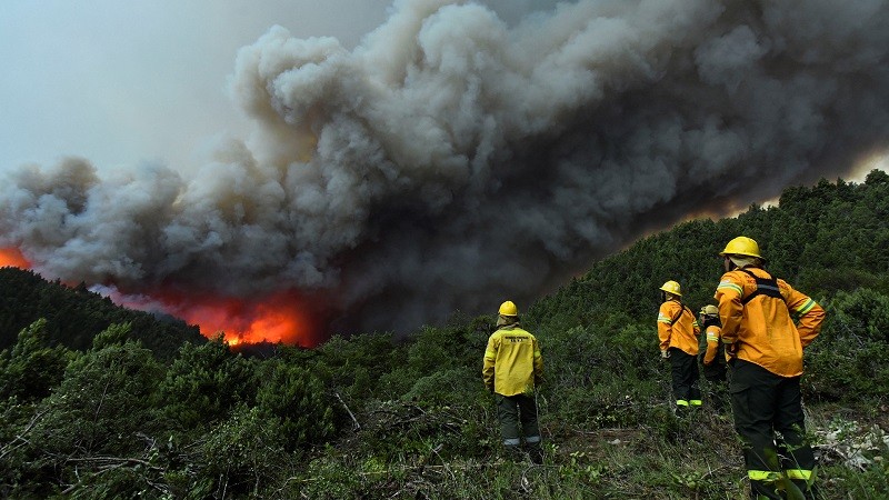 El incendio en el Parque Nacional Nahuel Huapi no da tregua: ya se consumieron más de 3.500 hectáreas | Actualidad