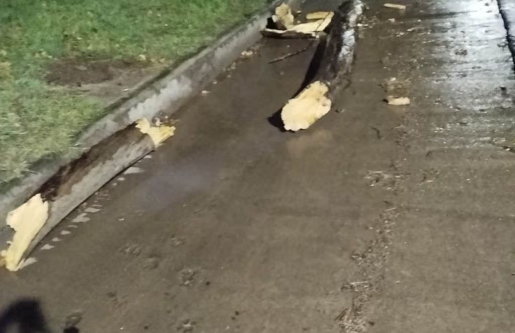 Colonia Caroya: por la fuerte tormenta una rama golpeó a un hombre y falleció | Córdoba