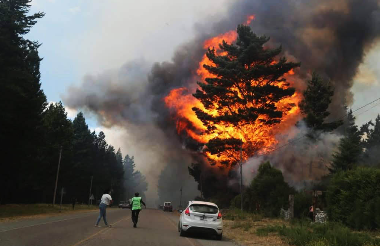 Confirmaron que el incendio en Epuyén fue intencional: destruyó más de 3000 hectáreas de bosque nativo | Actualidad