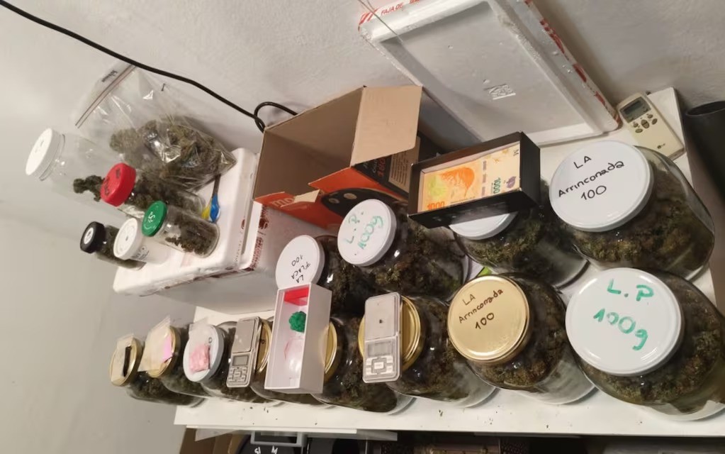 La FPA revisó una casa en General Paz y encontraron un invernadero de marihuana | Córdoba