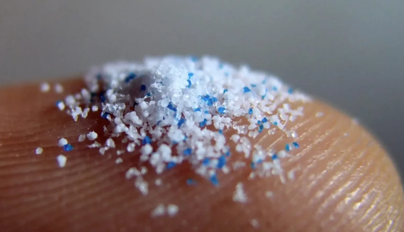 Un estudio halló niveles alarmantes de microplásticos en el cerebro | Actualidad