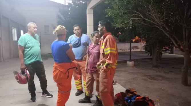 Bomberos fueron atacados por un enjambre de abejas mientras rescataban a una cabra | Actualidad