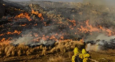 Incendios en Corrientes: tres localidades con focos activos | Actualidad