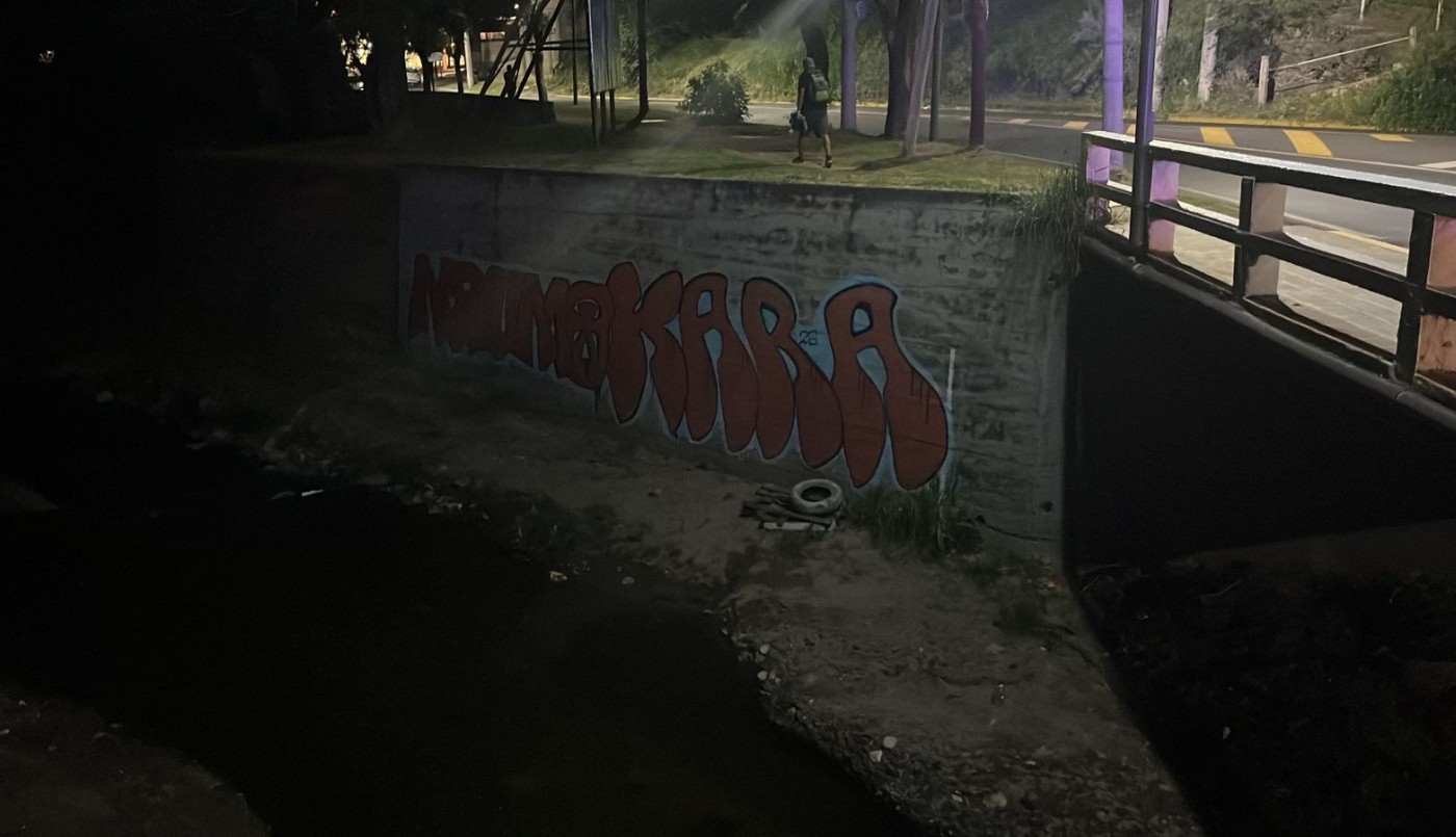 Saldán: dos adolescentes detenidos por realizar pintadas en el Puente Ceballos | Córdoba