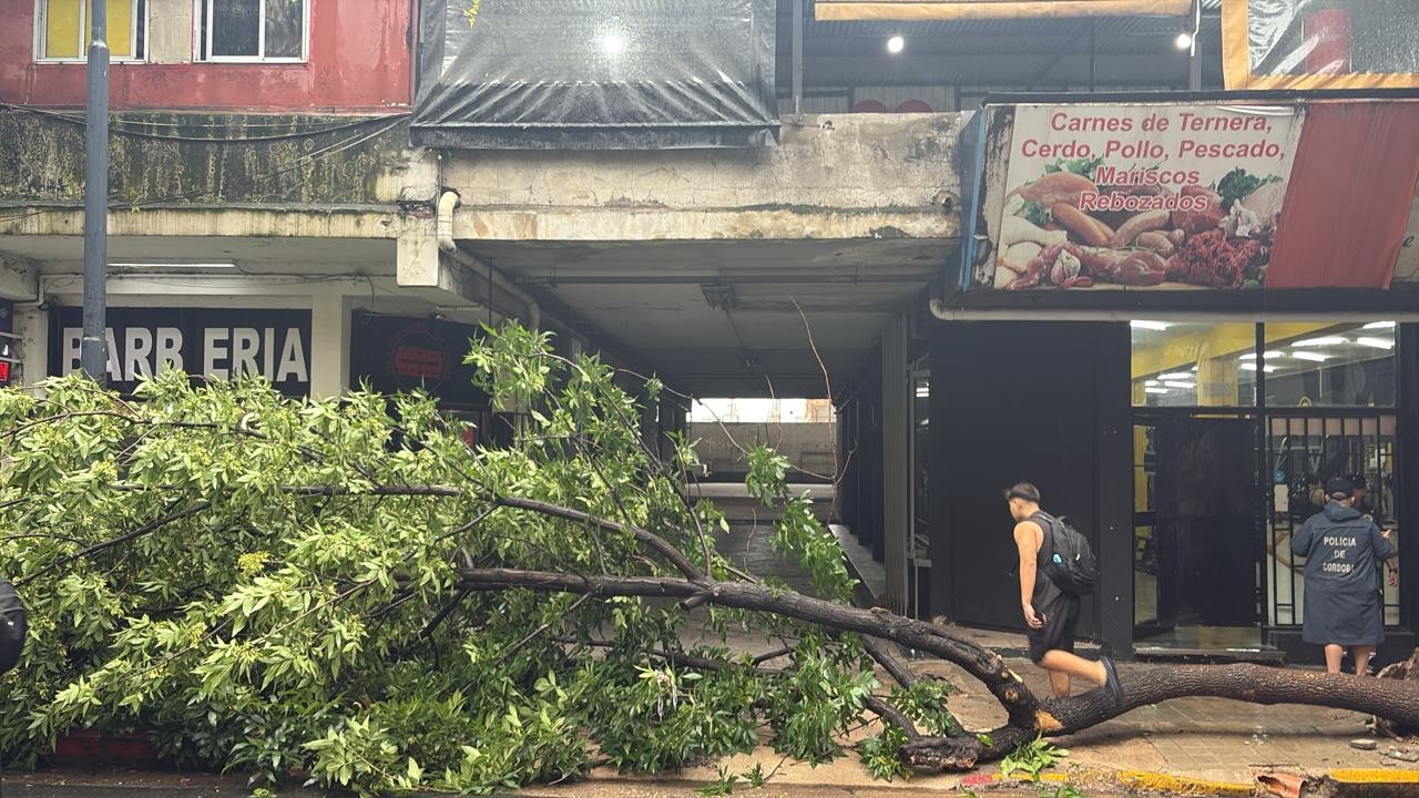 Tormenta en Córdoba: las consecuencias de la lluvia en la ciudad | Córdoba