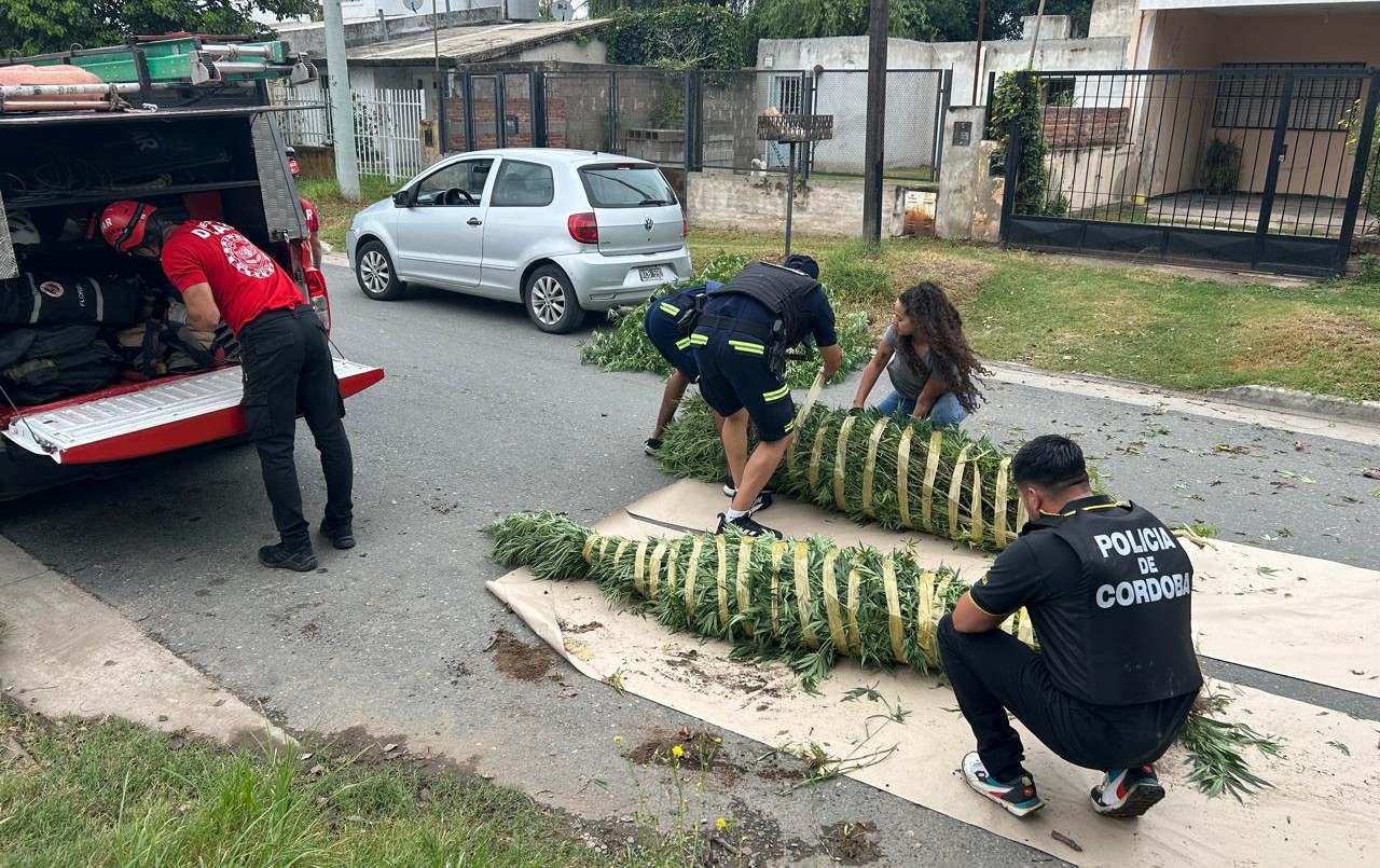 Megaoperativo en Córdoba: detuvieron a 50 personas y se secuestraron drogas y armas | Córdoba