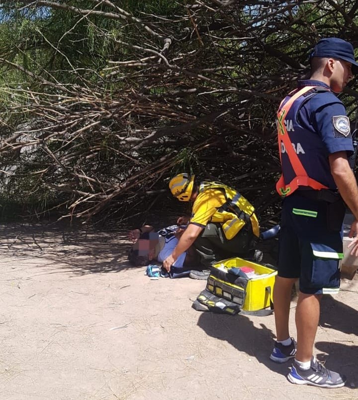 Un árbol cayó sobre un hombre en barrio General Paz | Córdoba