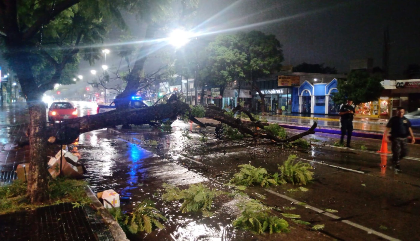 Árboles caídos por la intensa lluvia: cómo sigue el tiempo en Córdoba | Córdoba