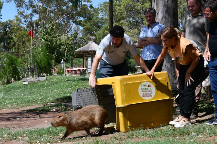 Animales silvestres regresan a su hábitat natural | Córdoba