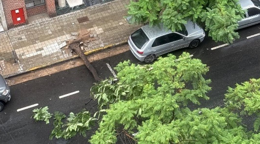 Siete familias fueron evacuadas a causa de la tormenta | Córdoba