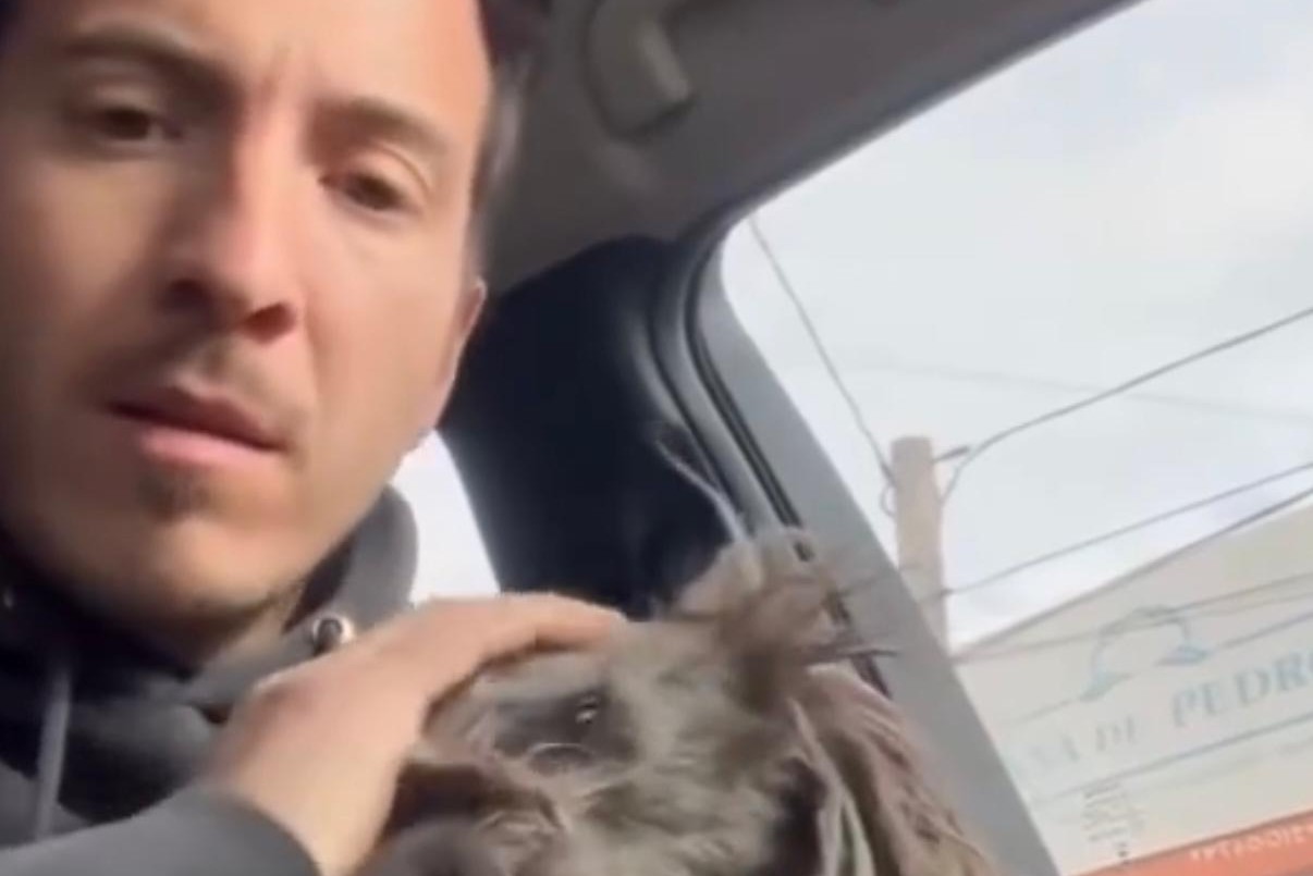 Un cordobés rescató a más de 200 animales afectados por el temporal de Bahía Blanca | Córdoba