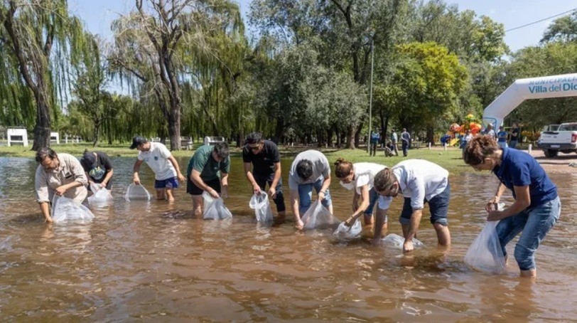 Siembra de pejerreyes en el embalse de Río Tercero | Córdoba