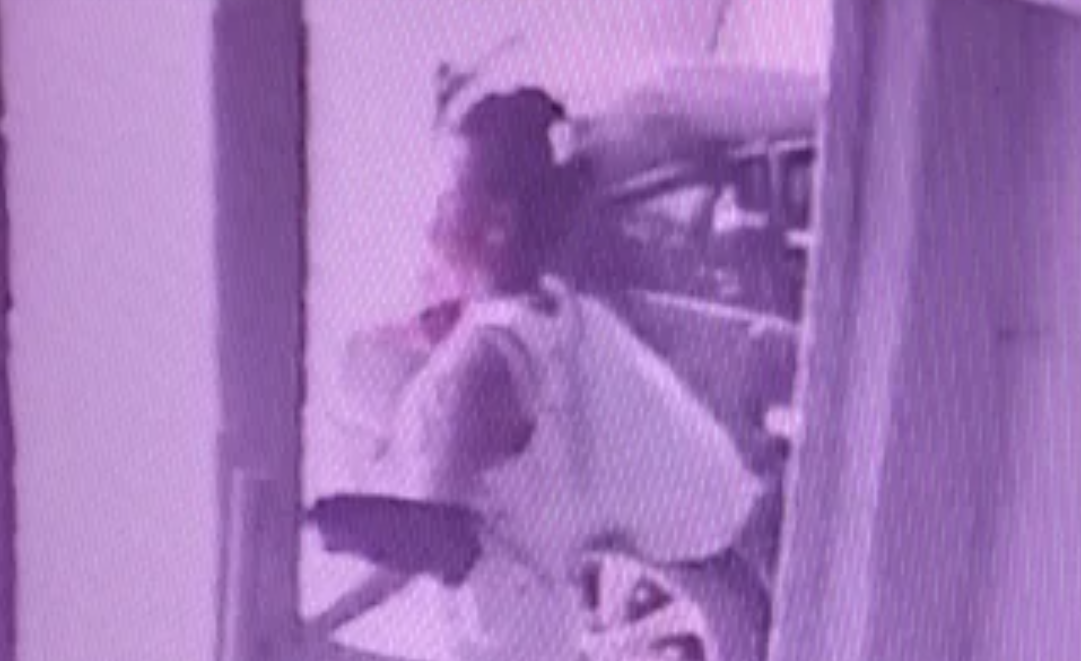 Detuvieron a la mujer que arrojó a su bebé en un contenedor | Actualidad