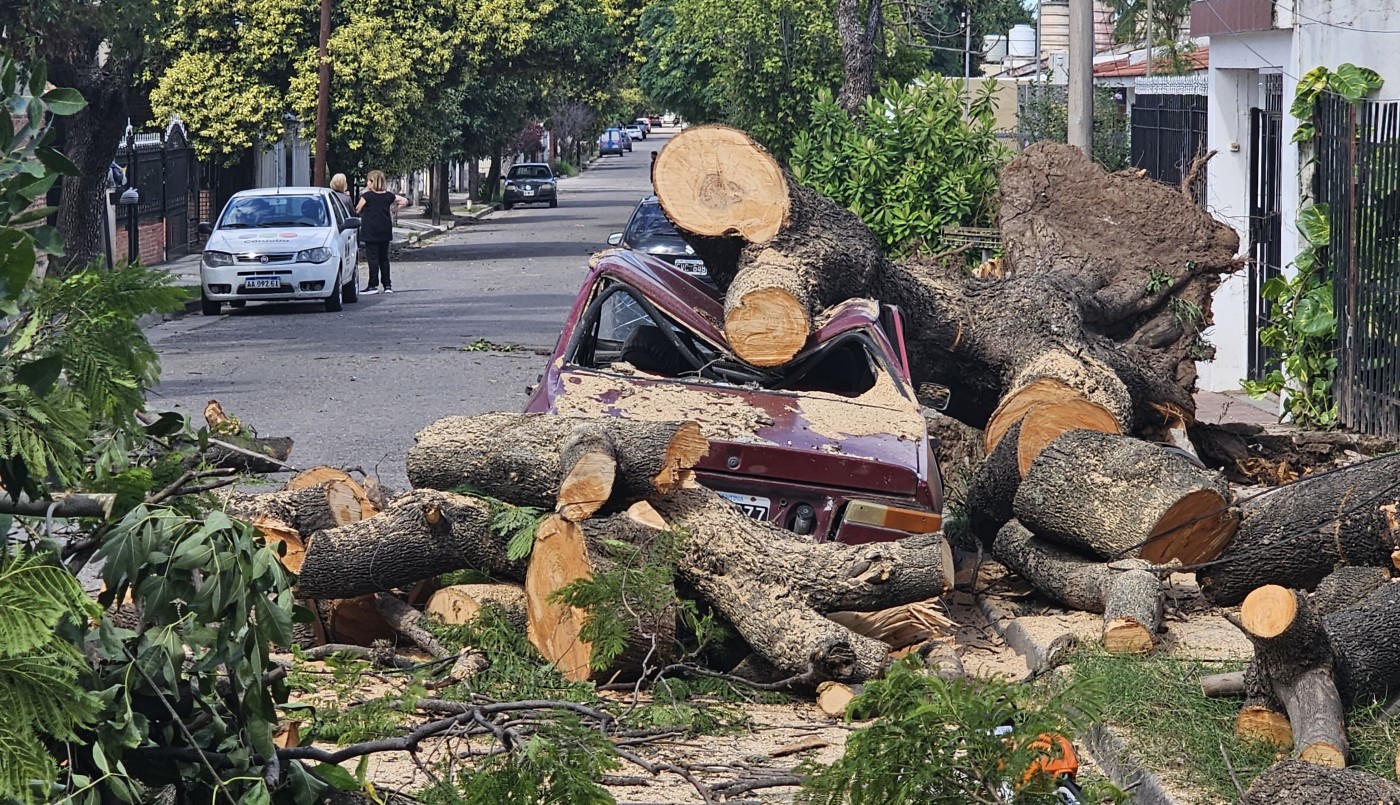 Árboles caídos y caos en el tránsito por los fuertes vientos que azotaron a Córdoba | Córdoba