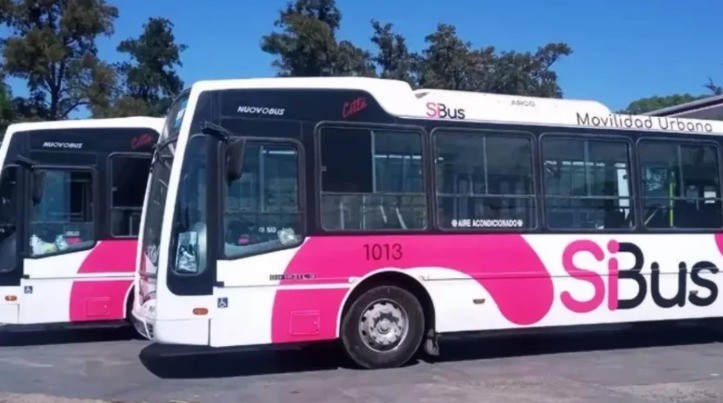 Transporte urbano en Córdoba: desde este lunes se incorpora una nueva empresa | Córdoba