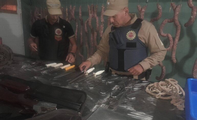 Operativo en San Justo: carne secuestrada y un detenido por abigeato | Córdoba