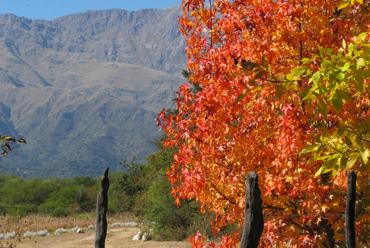 Inestabilidad climática en Córdoba durante el fin de semana | Córdoba
