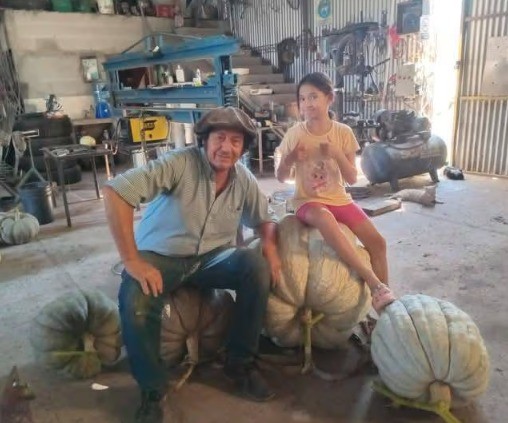 Récord en el sur cordobés: un productor cosechó un zapallo de 111 kilos | Córdoba