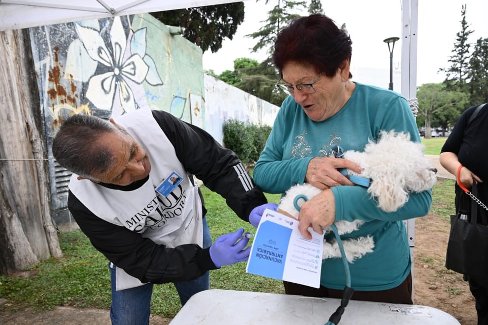 Finaliza la campaña de vacunación para perros y gatos en Córdoba: cuándo es el último día | Córdoba