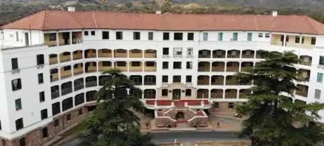 Estancia vieja: un ladrón entró a robar, lo atacó un pitbull y terminó hospitalizado | Córdoba