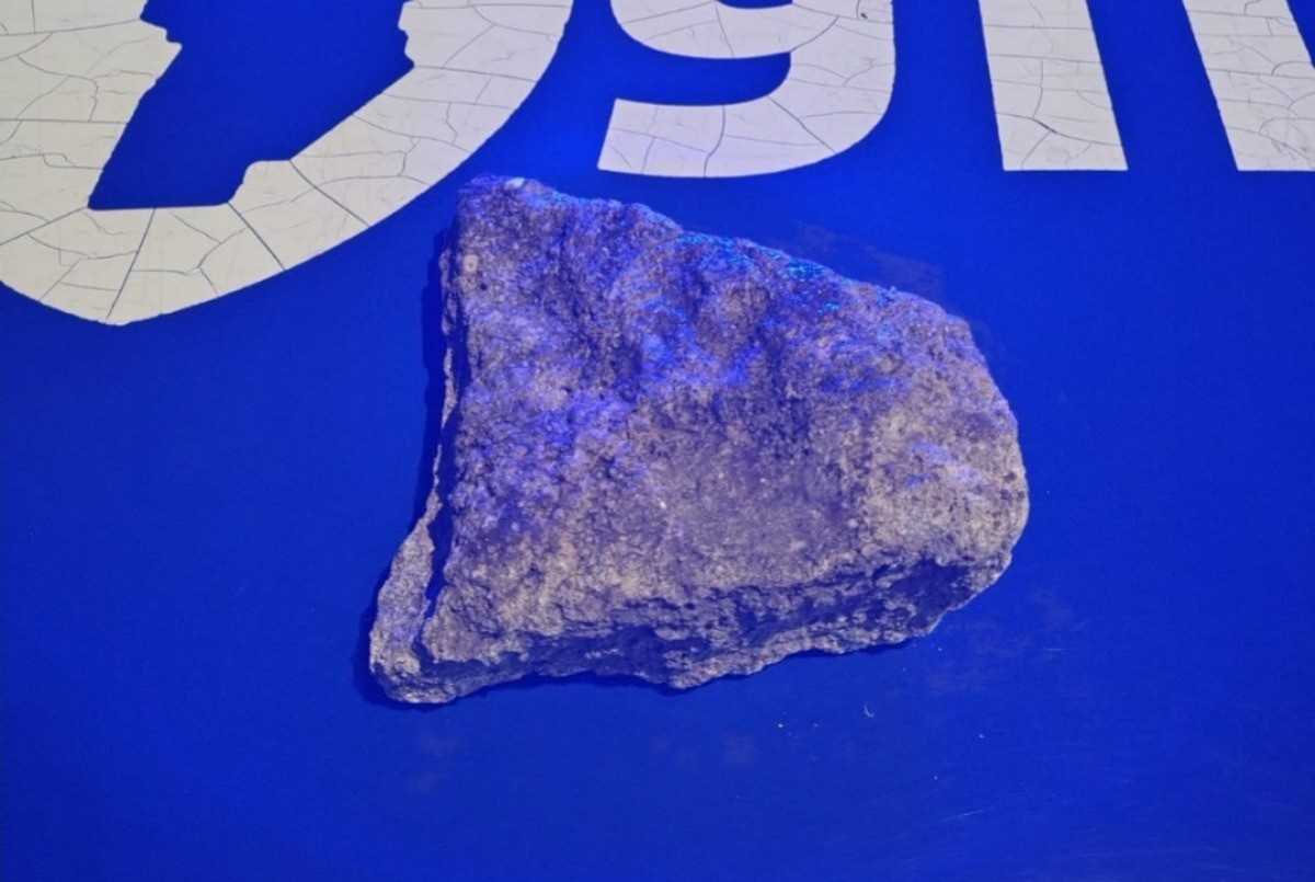 Un naranjita rompió el vidrio de un auto que estaba estacionado: lo detuvieron | Córdoba