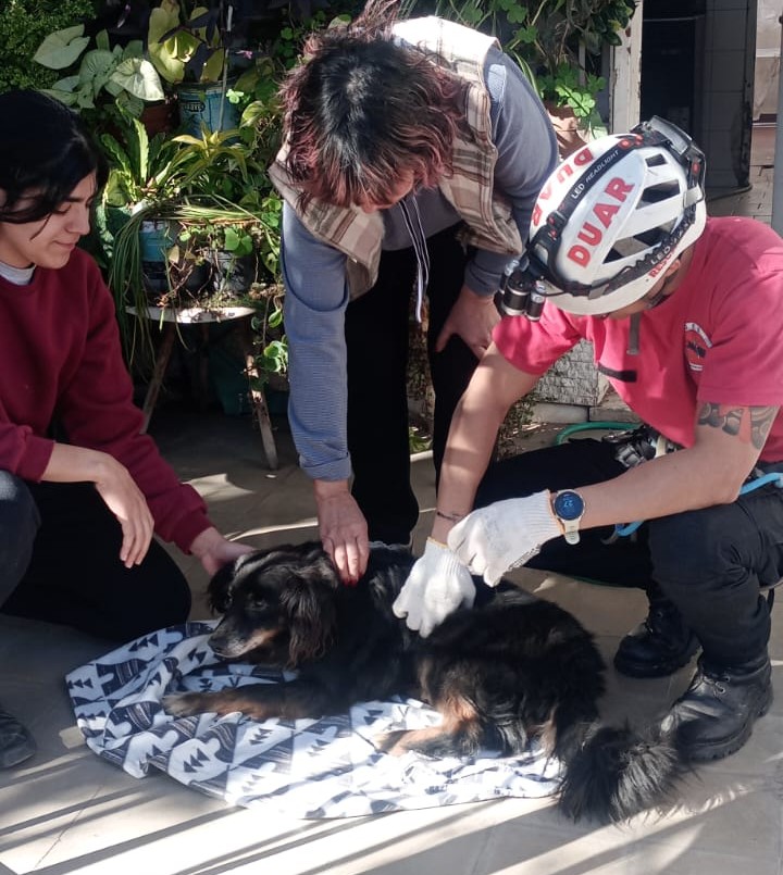 Video: efectivos del DUAR rescataron a un perro que cayó en un pozo negro | Córdoba