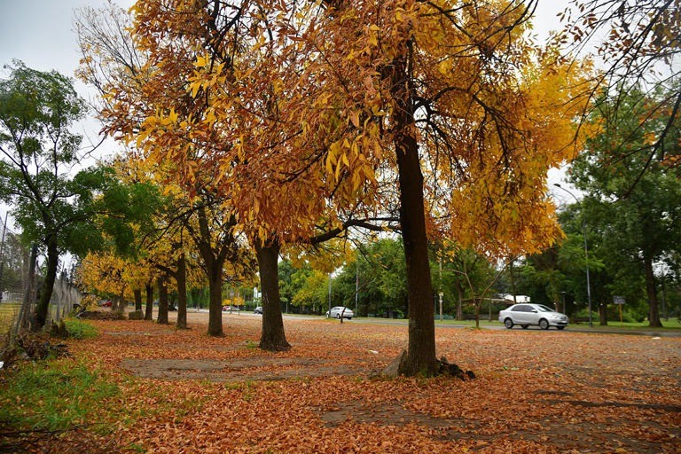 Tiempo en Córdoba: jueves agradable con algunas nubes en la ciudad | Córdoba