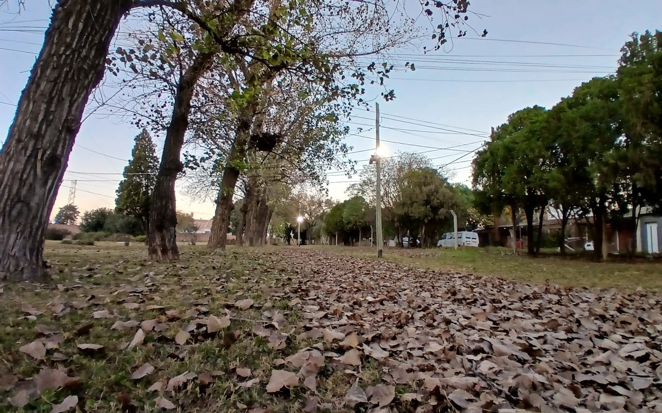 Tiempo en Córdoba: lunes frío con presencia de neblina en distintos sectores de la ciudad | Córdoba