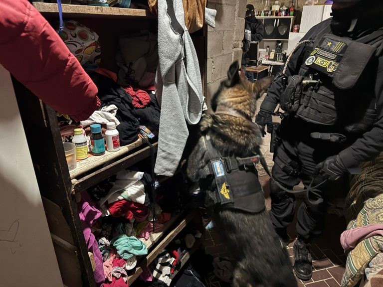 Desmantelaron un punto de venta de drogas en San Esteban: un detenido | Córdoba