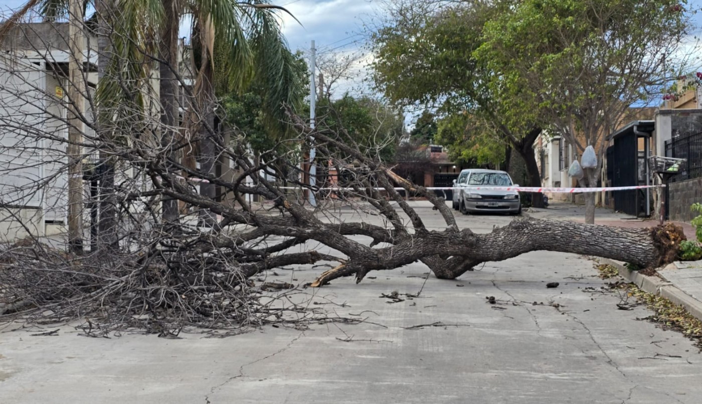 Ráfagas intensas, granizo y anegamientos: el saldo del temporal en Córdoba | Córdoba