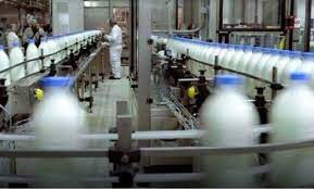 Una histórica empresa láctea enfrenta reclamos por salarios impagos y detener la producción | Actualidad