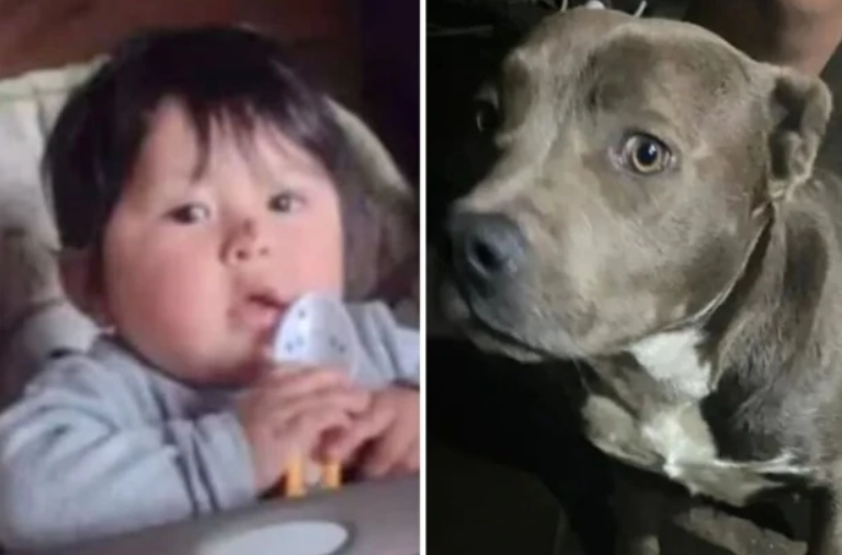 Nene hallado muerto con heridas compatibles con mordeduras de perro: qué reveló la autopsia | Actualidad