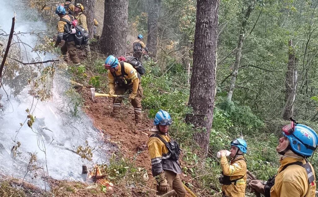 Bomberos lograron controlar los ocho focos de incendios en la provincia | Córdoba