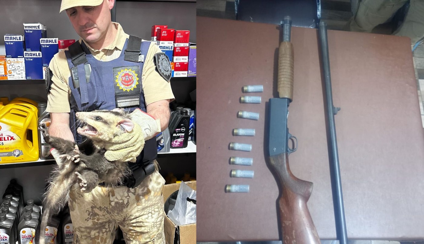 Rescataron 58 animales y detuvieron a diez personas en el interior provincial | Córdoba