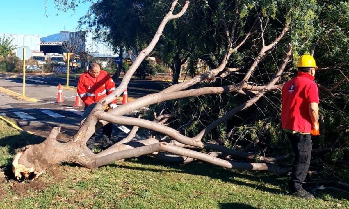 Defensa Civil reportó 394 incidentes en Córdoba por los vientos | Córdoba