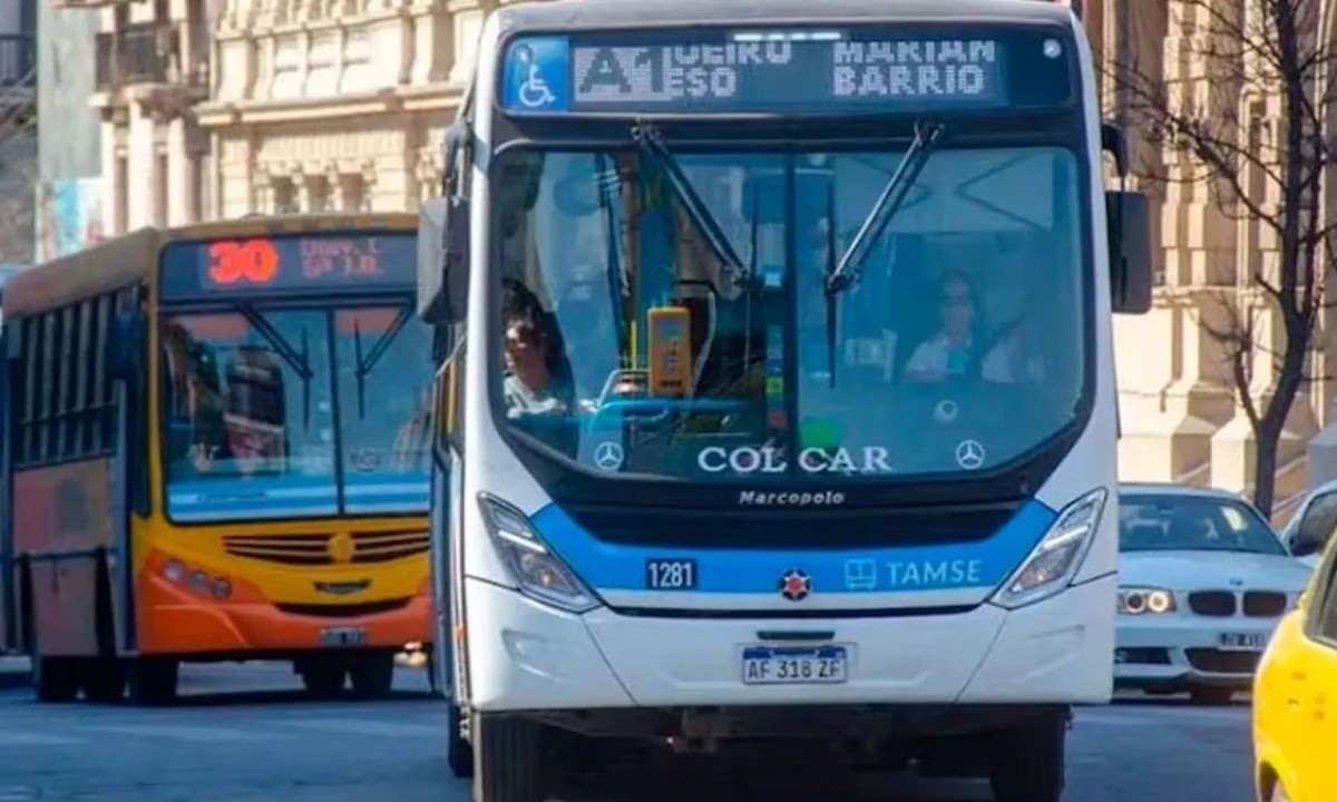 Red Bus y SUBE seguirán conviviendo en Córdoba | Córdoba