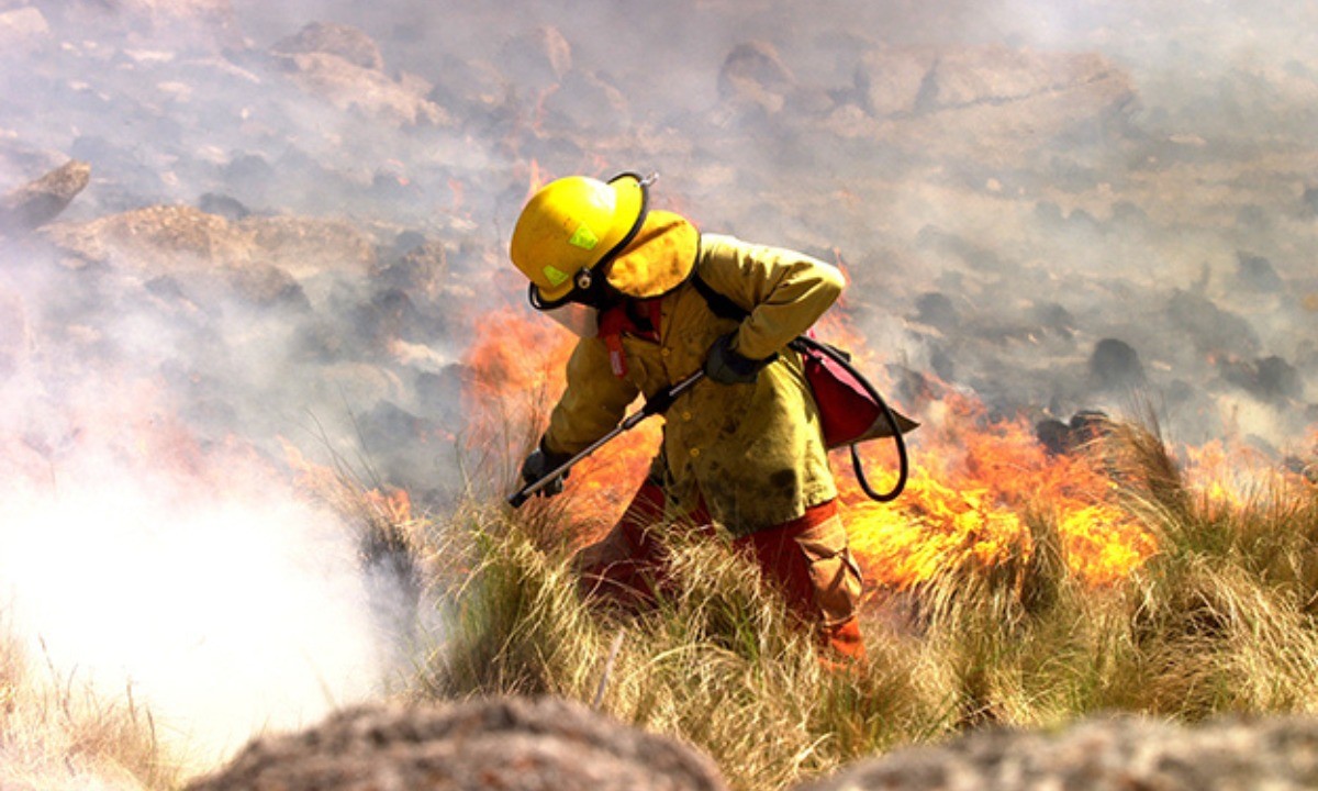 El incendio en la Quebrada del Condorito cumple cinco días: investigan su origen | Córdoba