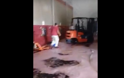 Video viral: se derramaron cientos de litros de vino por el descuido de un empleado de una bodega | Actualidad